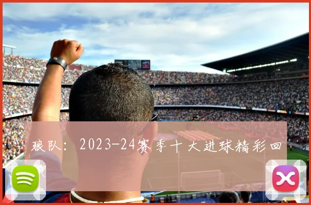 狼队：2023-24赛季十大进球精彩回顾