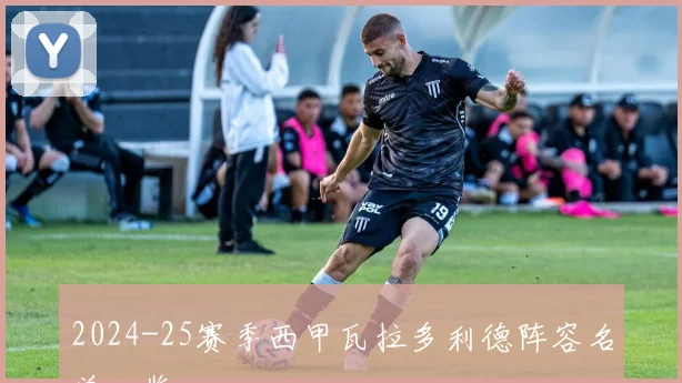 2024-25赛季西甲瓦拉多利德阵容名单一览