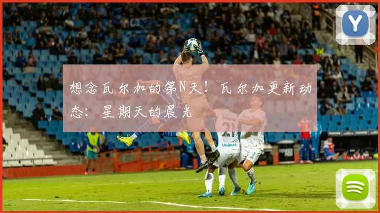 想念瓦尔加的第N天！瓦尔加更新动态：星期天的晨光